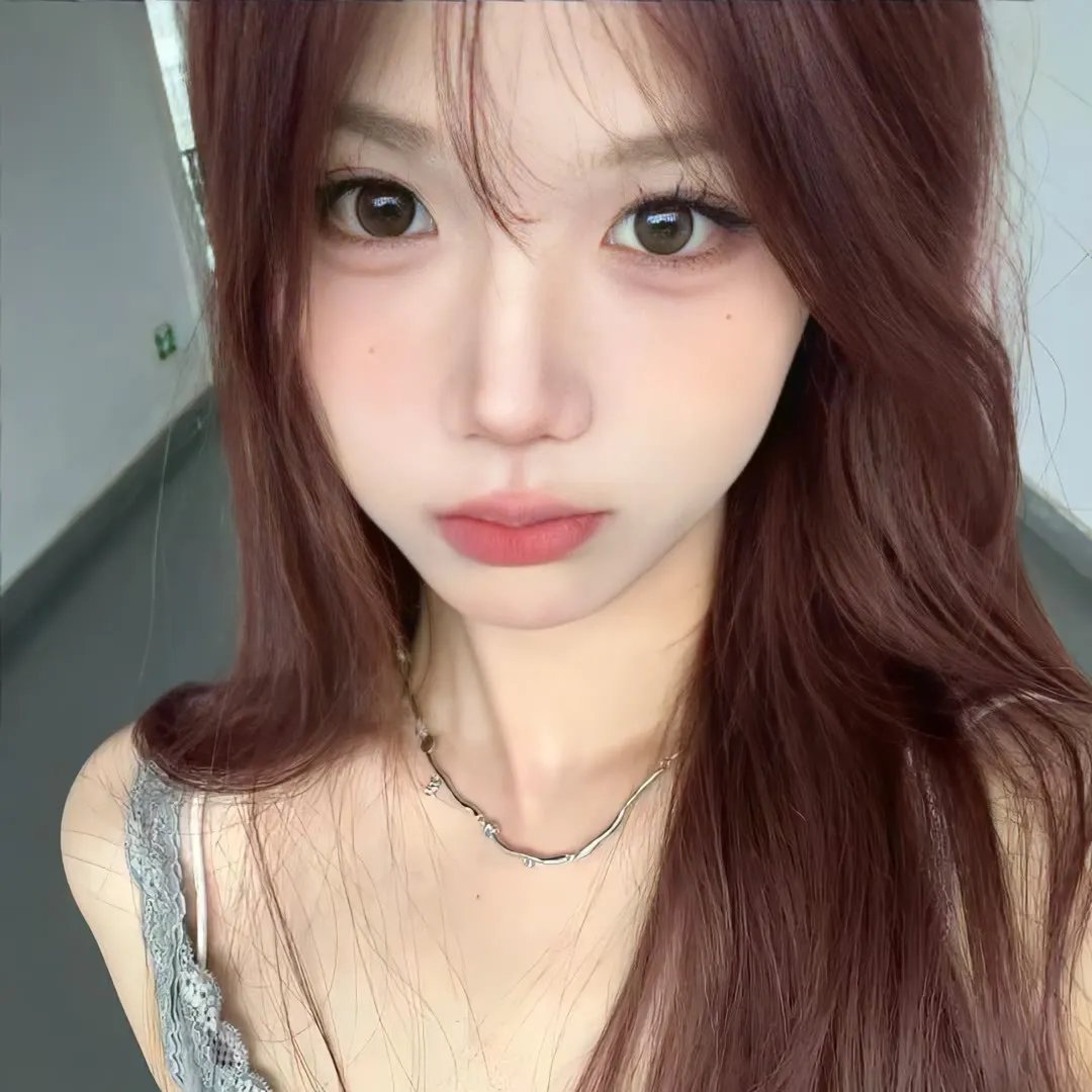 暴风雪中的白鸟